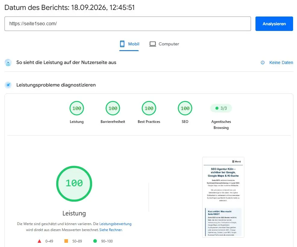 Beispiel einer PageSpeed-Analyse für Seite1SEO